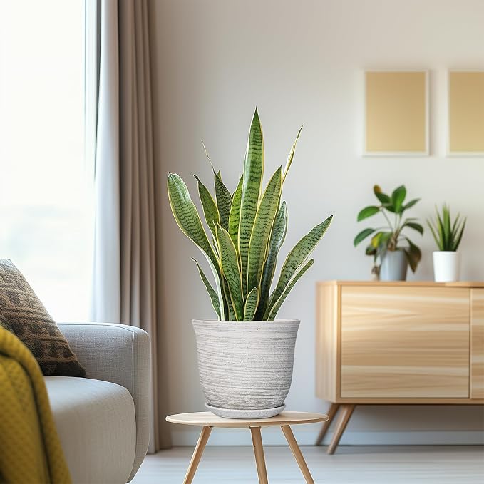 Ceramic Plant Pots - Image 5
