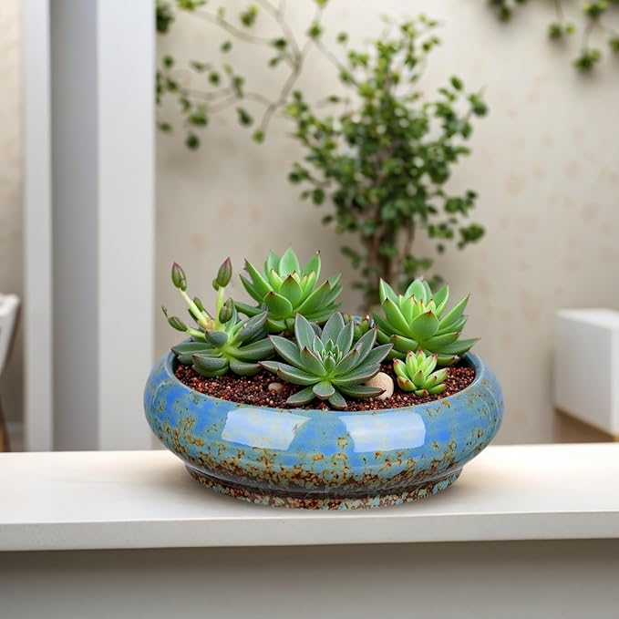 7.3 Inch Succulent Planters Pots Shallow Ceramic Glazed Planter Pots, Lotus - Image 5
