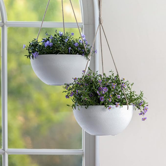 LA Jolie Muse Hanging Planter - Image 4