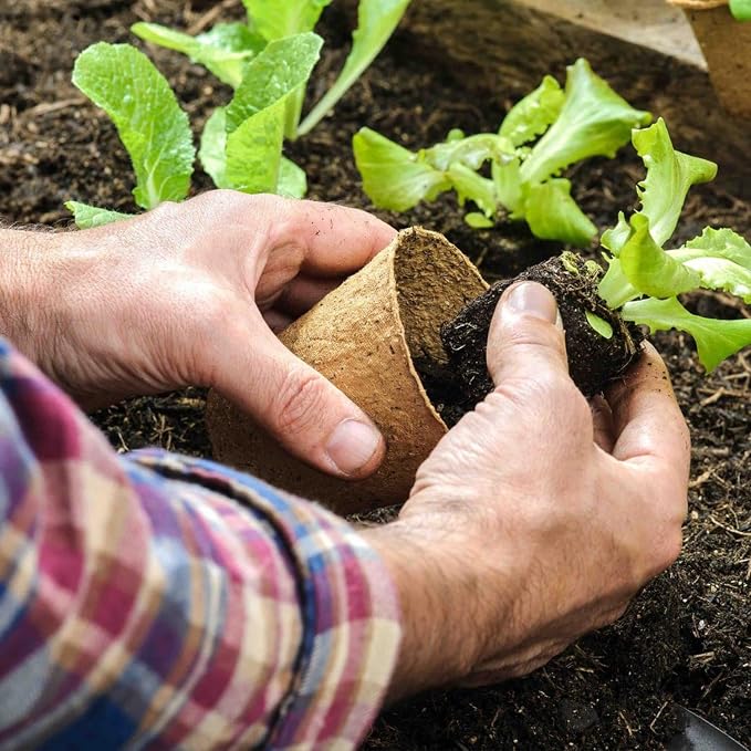 50 Pack 4 Inch Peat Pots, Biodegradable Seed Starter Pots - Image 5