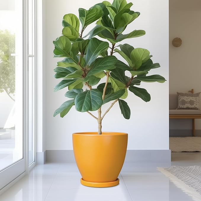 10 Inch Plant Pot - Image 2