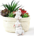 Rabbit Flower Pot Succulent Planter Garden Pots, Easter Decorative Flower Pot by WONDHOME