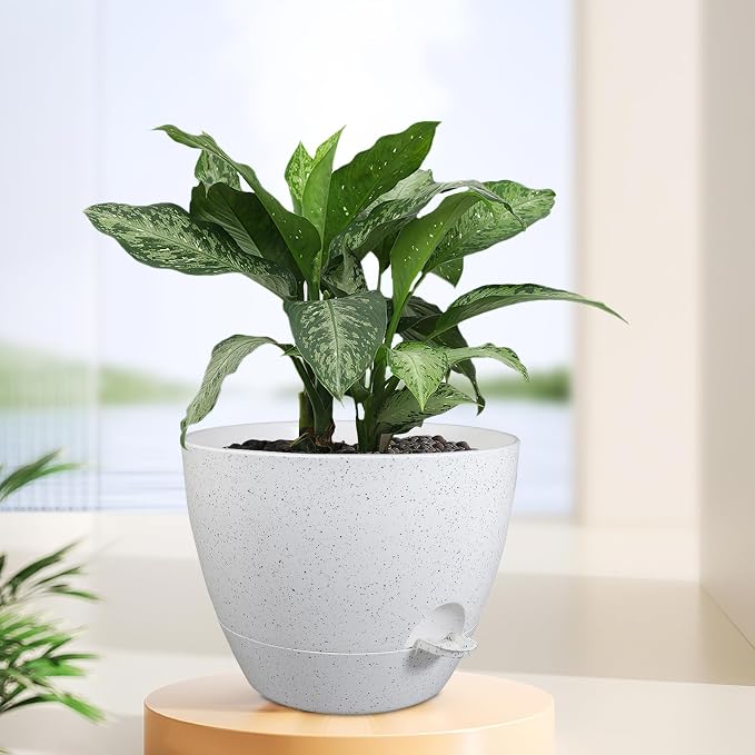 12 inch Large Self Watering Pots - Image 6