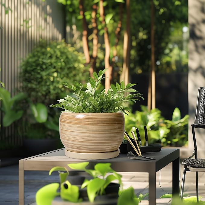 SQOWL Ceramic Plant Pot - Image 5