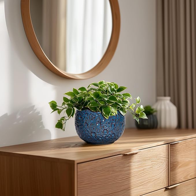 6 Inch Plant Pot - Image 7