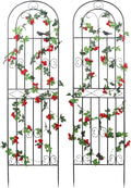2 Pack 86.7" H x 19.7" W Metal Garden Trellis by Macteyia