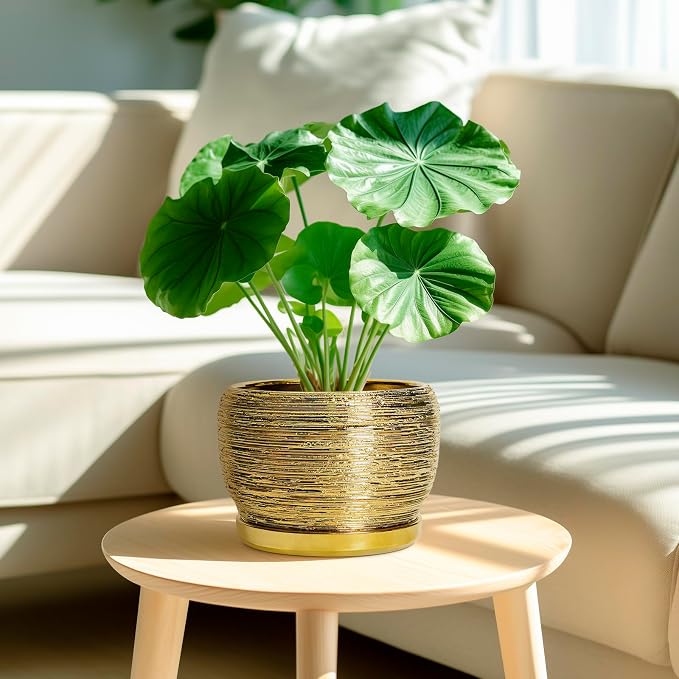 SQOWL Ceramic Flower Pot - Image 2