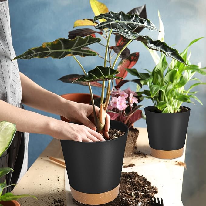GARDIFE Plant Pots 8/7/6.5/6/5.5/5 Inch Self Watering Planters - Image 6