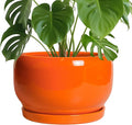 SQOWL Ceramic Planter by SQOWL