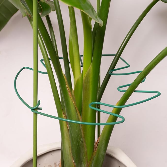 5PCS Green Monstera Plant Stem Support - Image 7