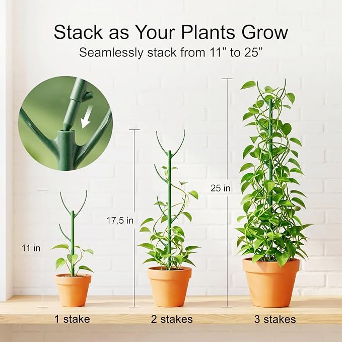 30-Pack Monstera Plant Support Stakes - Image 4