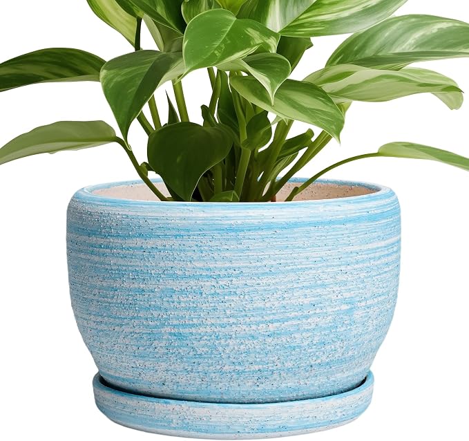 SQOWL Ceramic Planter by SQOWL
