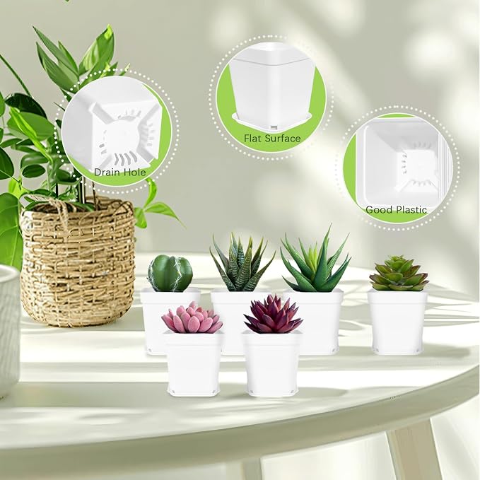Anyumocz 24Pcs 3" Square Plastic Plant Pots, Seedling Nursery Transplanting - Image 3