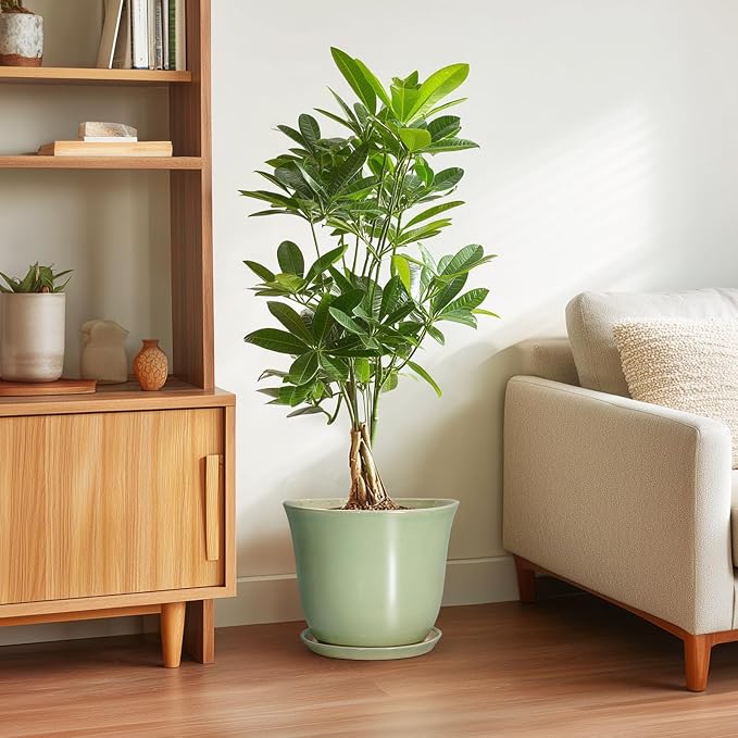 Ceramic Pots for Plants - Image 4