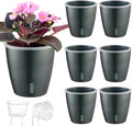 Self Watering Pots for Indoor Plants, Small African Violet Pots by KvyusFlourish