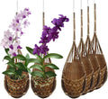 Handmade 100% Thai Bamboo Hanging Orchid Basket – 4 Inch Set of 6 by Panwa