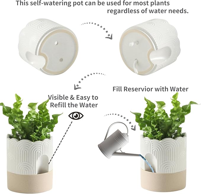 Nihow Self Watering Plant Pot: 6 Inch Ceramic Planter - Image 3