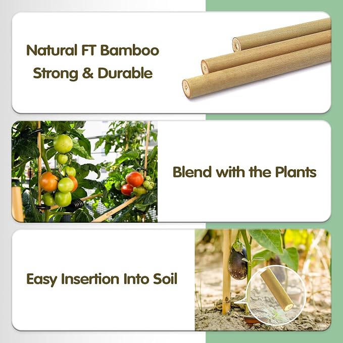 Bamboo Stakes, 4FT Natural Bamboo Garden Stakes, BOVITRO 25Pcs Plant Stakes - Image 2