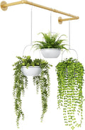 Bamworld Hanging Planters for Indoor Plants Plant Hanger Indoor Hanging Plant by Bamworld