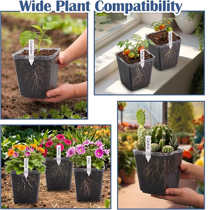 5.5 Inch Clear Square Nursery Pots - Image 7