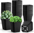 100 Pack Plant Nursery Pots 3.15 Inch, Durable Square Seedling Pots by RooTrimmer