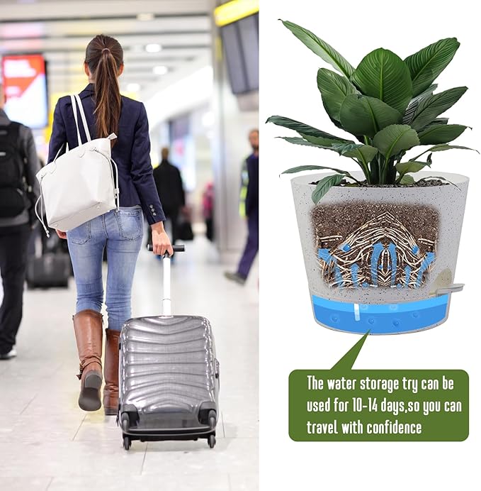 Self Watering Pots for Indoor Plants, 12 inch Planters - Image 6