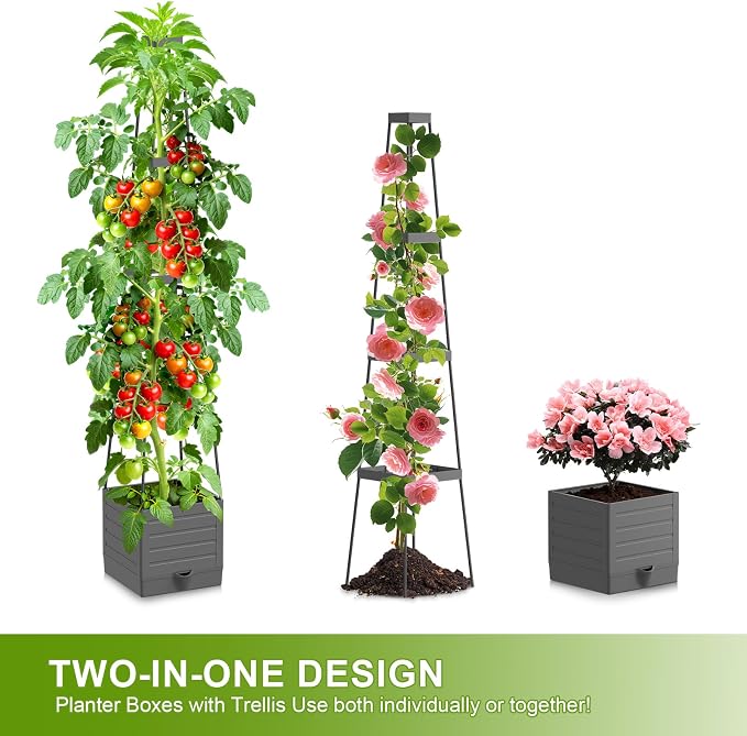 2 Pack Raised Garden Bed Tomato Planter - Image 5