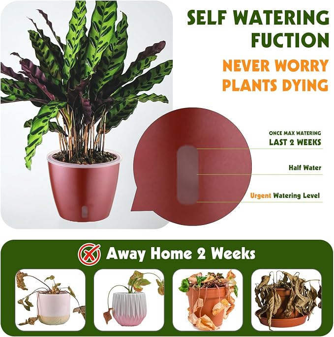 Self Watering Pots for Indoor Plants, Small African Violet Pots - Image 2