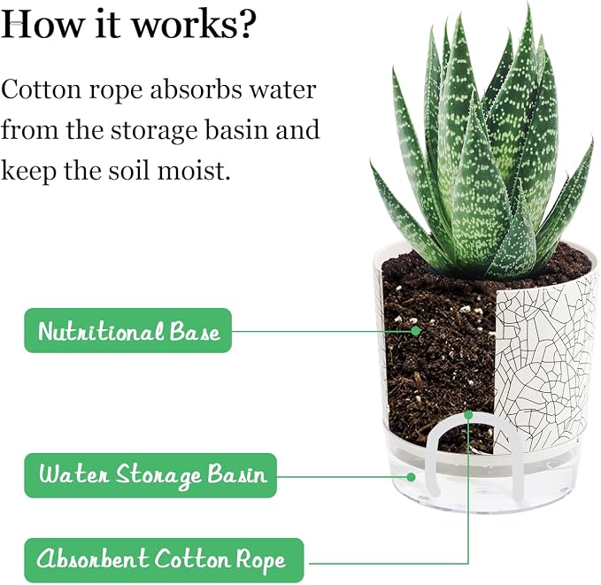 Self Watering Pots for Indoor Plants, 5 & 4 Inch Stylish Flower Pots - Image 3