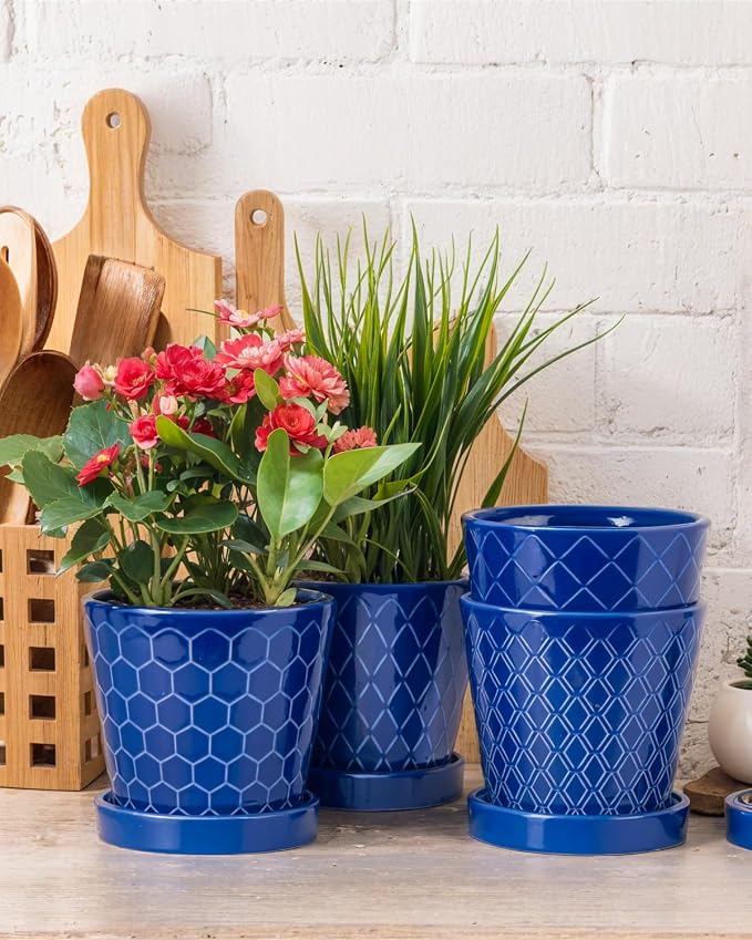 BUYMAX Ceramic Plant Pots –5 inch Indoor Flower Pot - Image 2