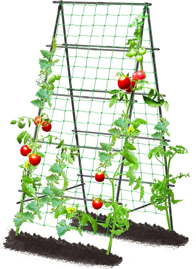 Lalahoni Garden Trellis for Climbing Plants Outdoor, 31.5x70.8 inch Metal by Thereasonyoulovegardening
