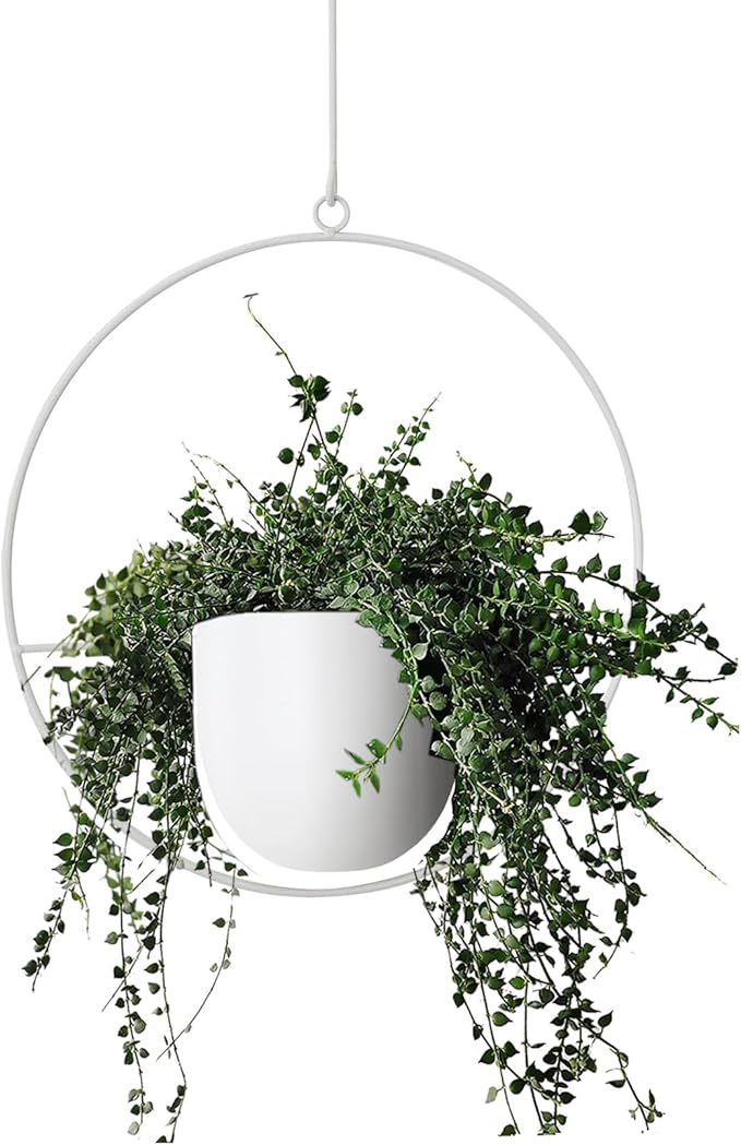 Hanging Planter Indoor Modern Boho Plant Pot Metal Wall and Ceiling Plant Holder by ABETREE