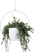 Hanging Planter Indoor Modern Boho Plant Pot Metal Wall and Ceiling Plant Holder by ABETREE