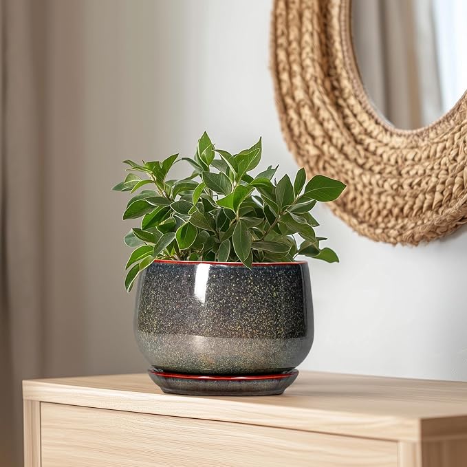 G EPGardening Ceramic Planters - Image 5