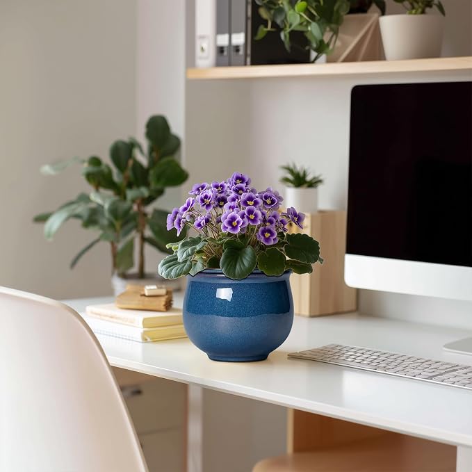 African Violet Pots, 6 Inch Ceramic Easy Self Watering Pots - Image 3