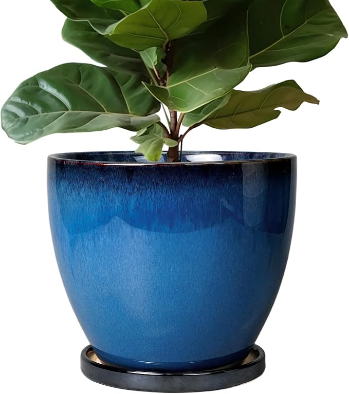 Ceramic Pots for Plants by EPFamily