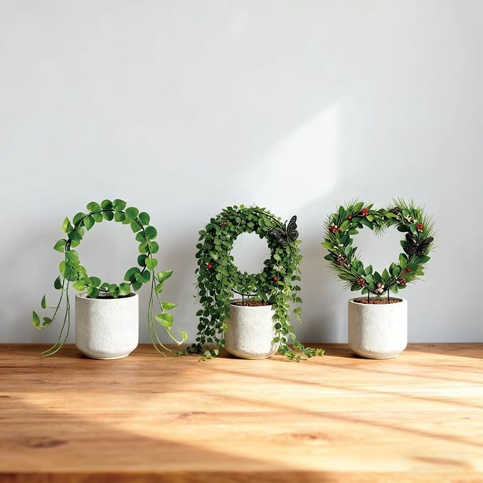 Indoor Climbing Plant Trellis - Image 6