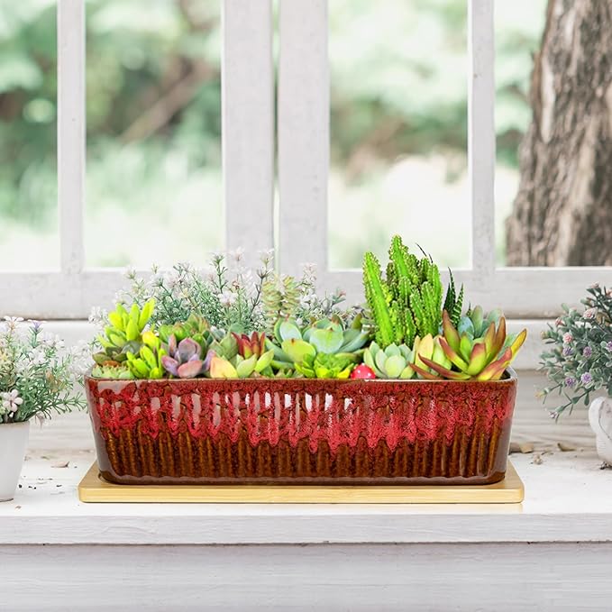Succulent Pots - 12 Inch Large Succulent Planters - Image 6