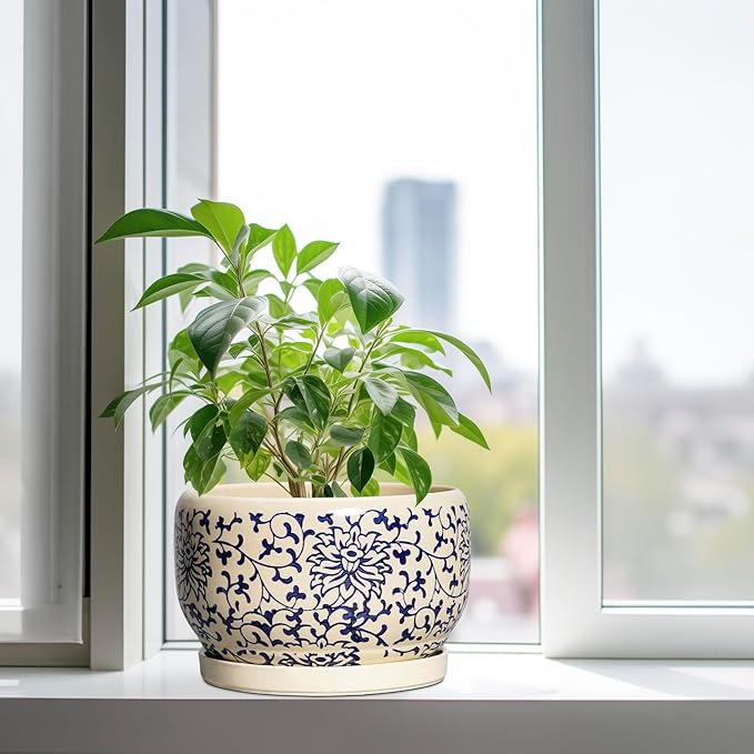 SQOWL 10 Inch Plant Pot Indoor - Image 4