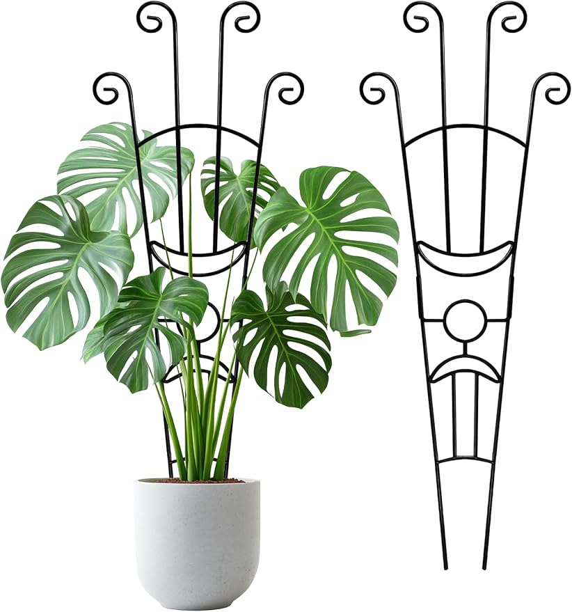 33 Inch Tall Expandable Metal Trellis by Unknown