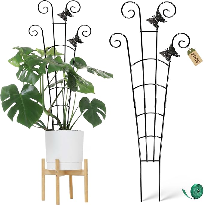 COOMIN 30'' Monstera Plant Support Outdoor, Metal Expandable Plant Supports by COOMIN