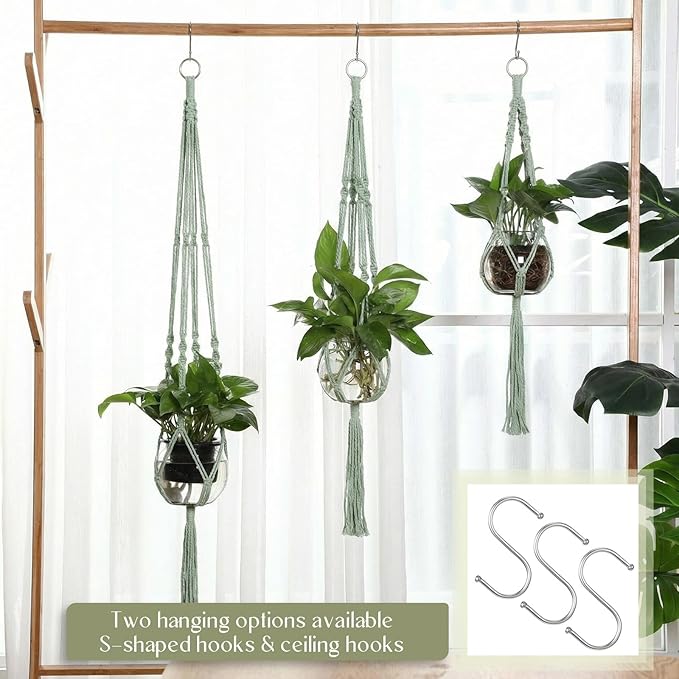 6 Pcs Plastic Plant Propagation - Image 5