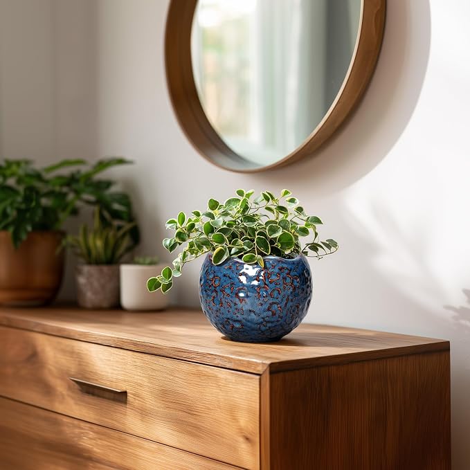 Ceramic Pots for Plants - Image 6