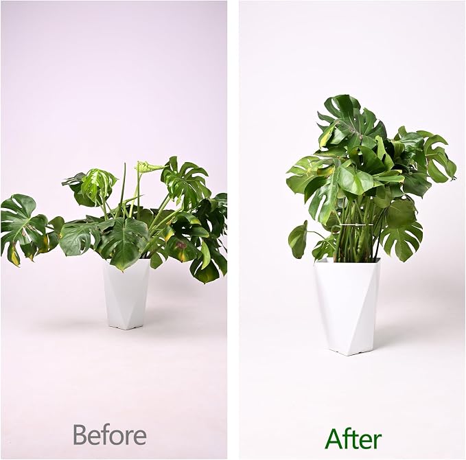5PCS Monstera Plant Support Hook - Image 3