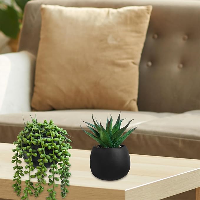 Winlyn Set of 3 Artificial Succulent Plants in Black Concrete Pots Faux Aloe - Image 7