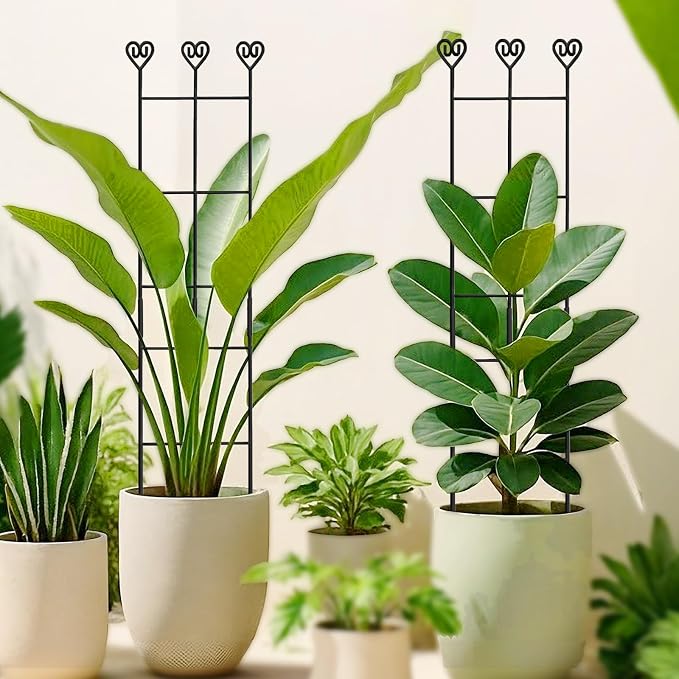 32in Large Indoor Plant Trellis - Image 5