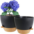 10 inch Self Watering Pots, 2 Pack Plastic Planters by WSMKSZ