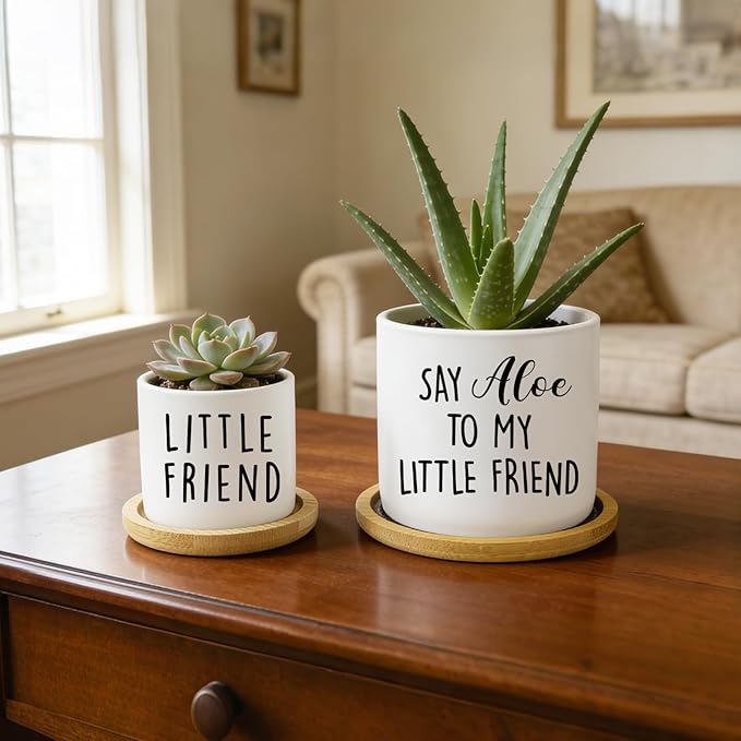 Say Aloe to My Little Friend Planter Pot, Funny Plant Pots, Aloe Plant Pot - Image 5