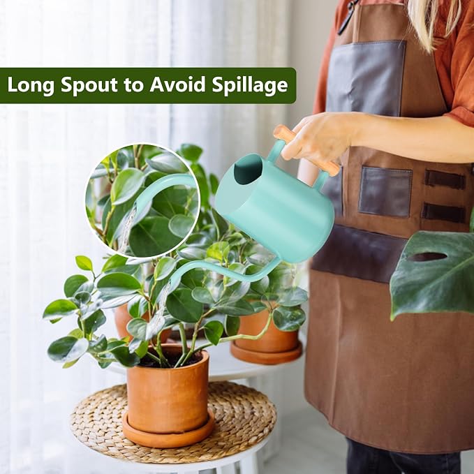 Watering Can Indoor Plants, 35oz Small Indoor Stainless Steel Metal Watering - Image 2