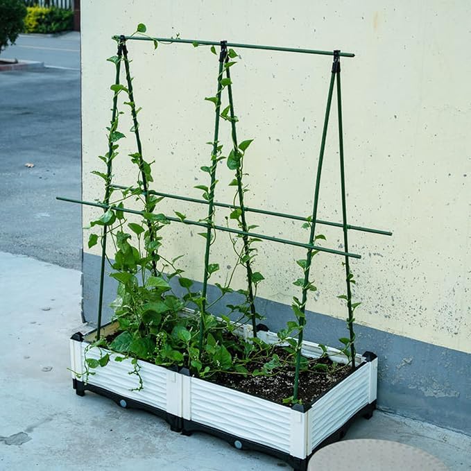 Garden Plant Stakes 24 Inch 2Ft Steel Plant Stick Support, 25 Pack Tomato Stakes - Image 6